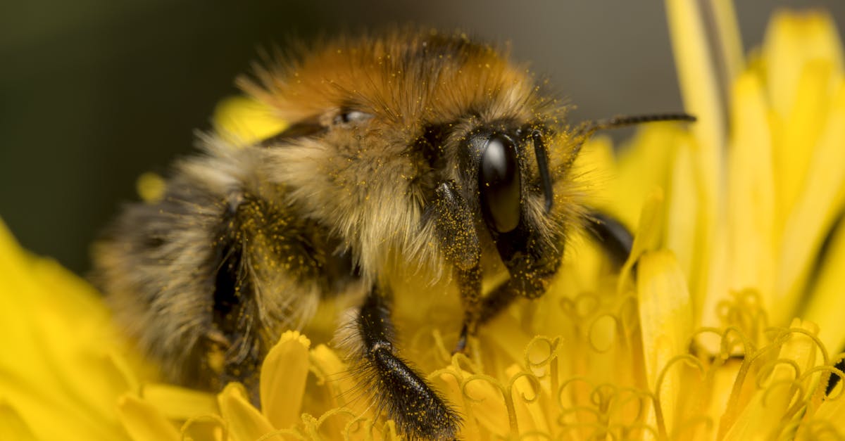 découvrez un monde où le vélo est roi ! notre guide 'bike-friendly' vous propose les meilleures adresses, conseils et astuces pour profiter pleinement de vos déplacements à vélo. explorez des villes accueillantes, des itinéraires sécurisés et une communauté qui valorise la mobilité douce.