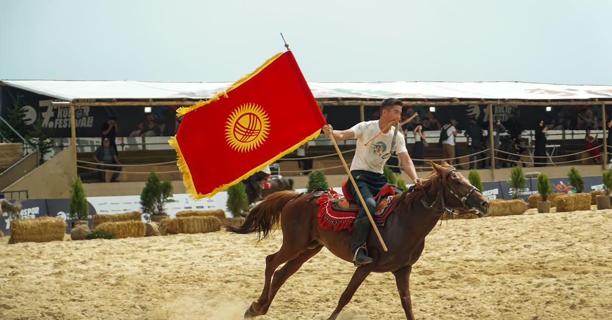 Descubra nuestras cuadras excepcionales, que combinan comodidad y pasión ecuestre. Alójese en nuestros alojamientos especializados para vivir una experiencia inolvidable en plena naturaleza, perfecta para amantes de los caballos y los aventureros.