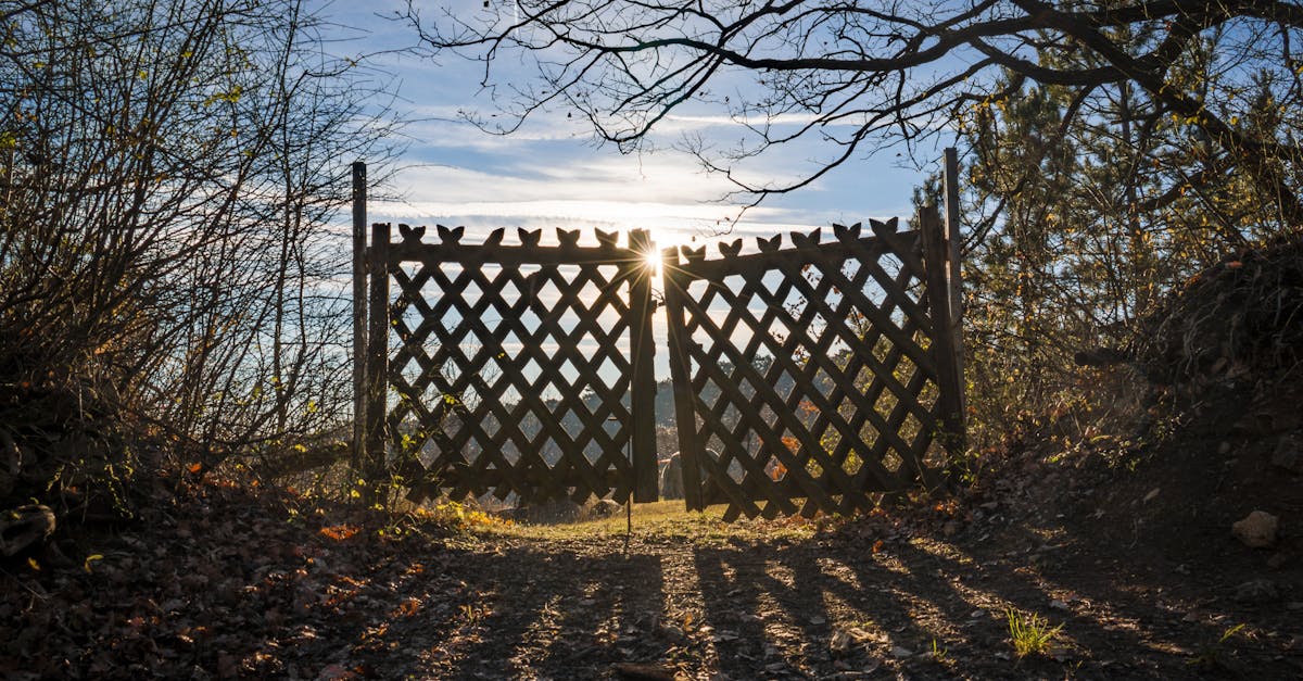 Discover our cozy cottage, perfect for a relaxing getaway surrounded by nature. Enjoy comfortable accommodation, outdoor activities, and the tranquility of an idyllic setting. Book now for an unforgettable experience!