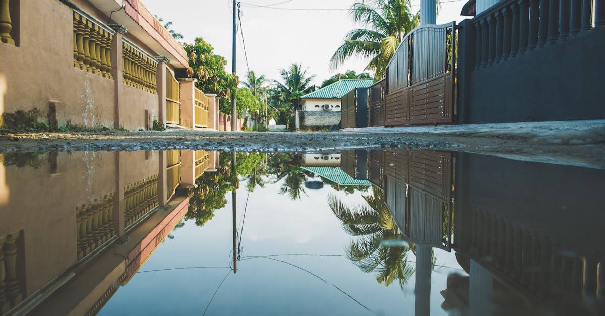 découvrez nos gîtes confortables et authentiques, idéaux pour des vacances inoubliables en pleine nature. profitez d'un séjour paisible entre amis ou en famille, avec des équipements modernes et un cadre enchanteur.