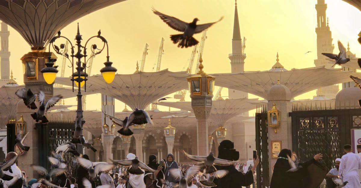 découvrez nos gîtes charmants et confortables, idéaux pour des vacances en pleine nature. profitez d'une expérience authentique avec des équipements modernes, des paysages splendides et la tranquillité à portée de main.