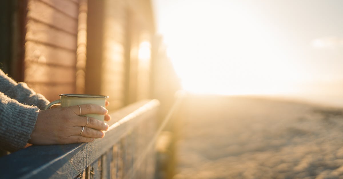Scopri il fenomeno della lentezza, il suo impatto sulla nostra vita quotidiana e come abbracciare un ritmo di vita più tranquillo. Scopri i vantaggi di abbracciare la lentezza per trovare serenità e felicità in un mondo spesso frenetico.