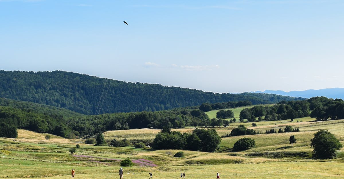 Descubra Ardèche, um departamento francês rico em paisagens naturais de tirar o fôlego, atividades ao ar livre, vilas pitorescas e gastronomia deliciosa. Perfeito para os amantes da aventura e da tranquilidade.