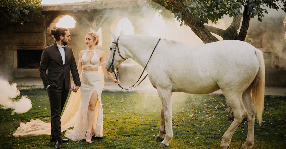 المشي لمسافات طويلة وركوب الدراجات والسباحة والانغماس في الثقافة المحلية