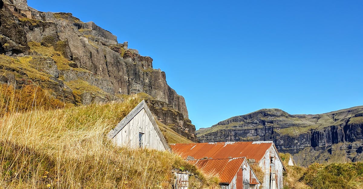 : zarówno dzieci, jak i dorośli mogą cieszyć się ogrodami, zielonymi przestrzeniami lub spacerami po lesie w pobliżu