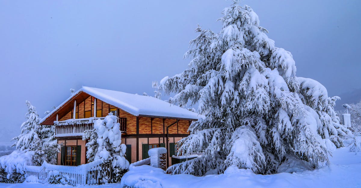 découvrez le charme d'un chalet, un refuge idéal en pleine nature, où le confort moderne rencontre l'authenticité. que ce soit pour des vacances en famille ou une escapade romantique, nos chalets offrent une expérience inoubliable. profitez d'un cadre enchanteur, de panoramas à couper le souffle et d'activités de plein air tout au long de l'année.
