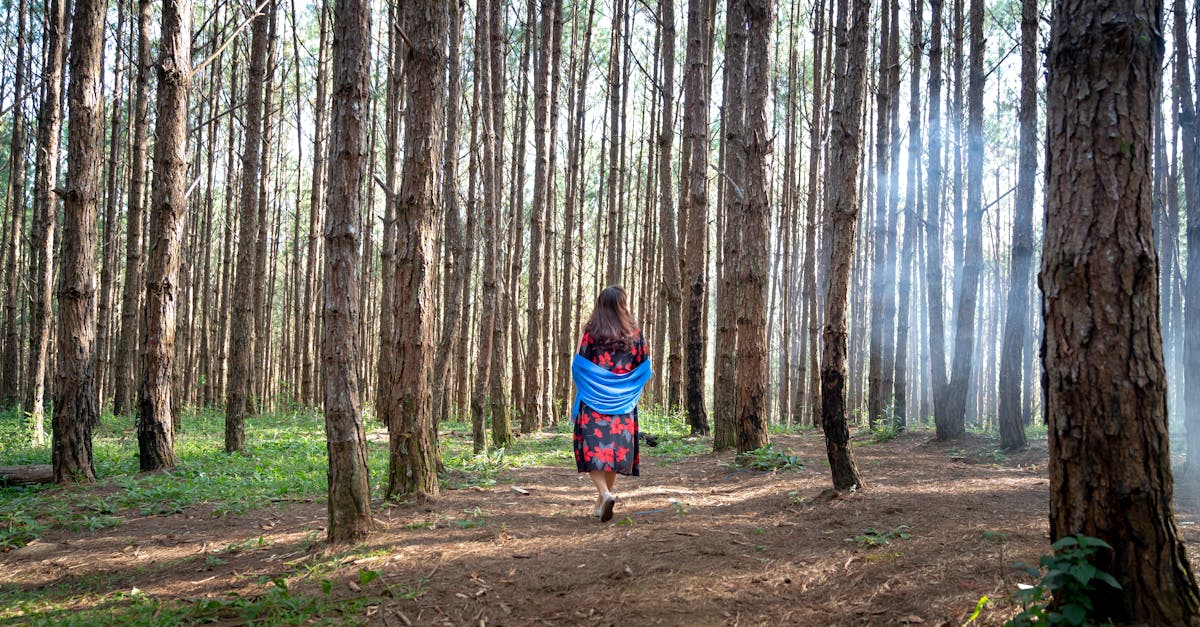 découvrez 'disconnect', un récit captivant qui explore les thèmes de la déconnexion moderne, des relations humaines et de la quête d'authenticité dans un monde numérique. plongez dans une histoire émouvante qui remet en question notre rapport à la technologie et à nous-mêmes.