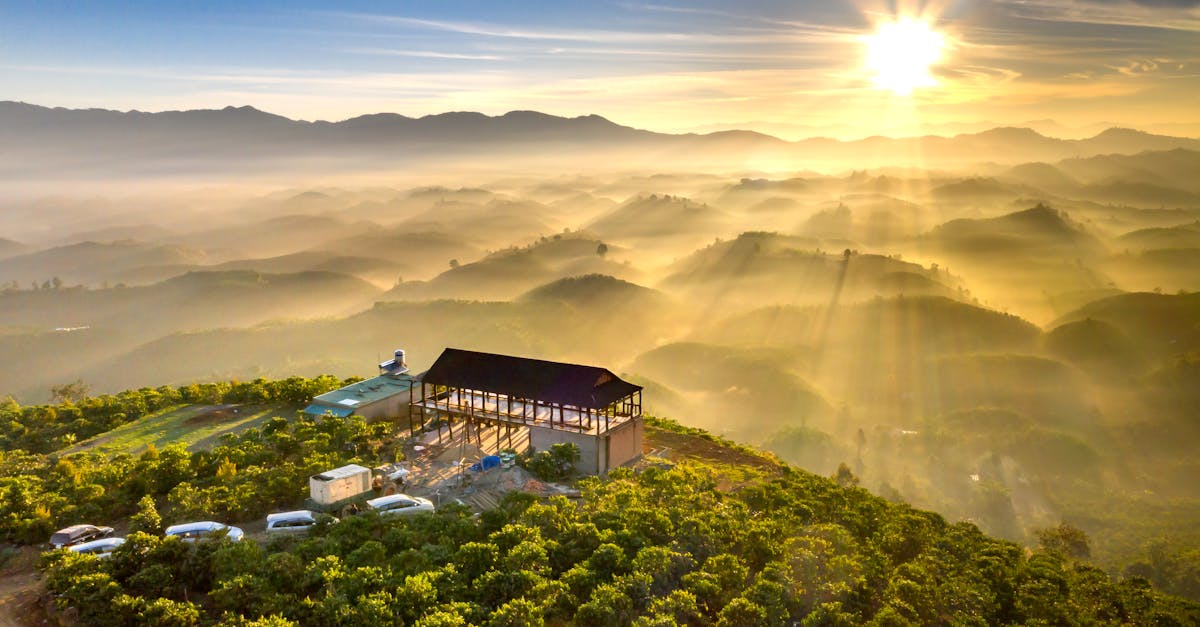 Odkrywanie lokalnej flory i fauny 🦌🦋