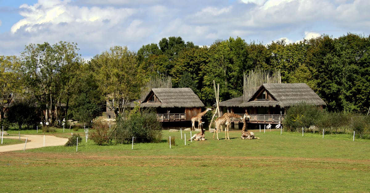 Najczęściej zadawane pytania na temat ekologicznego domku La Trêve w Cergne