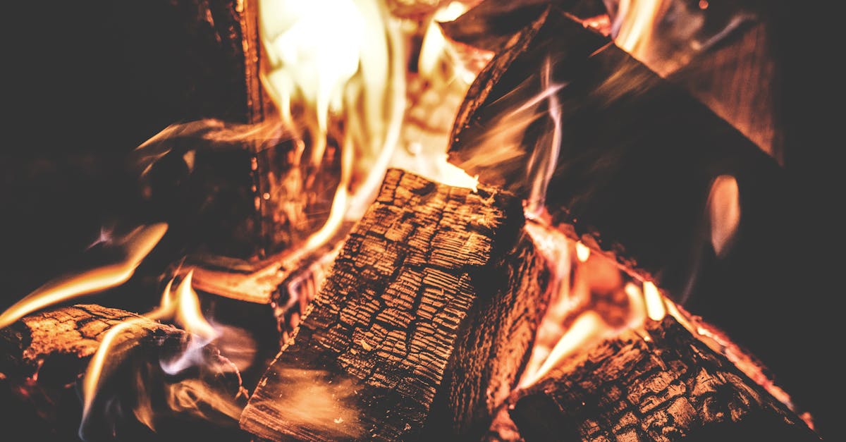 Aprenda tudo sobre o fogo: suas propriedades fascinantes, seu uso na culinária, segurança contra incêndios e seu impacto no meio ambiente. Explore os diferentes tipos de fogo e aprenda a lidar com ele com cuidado.