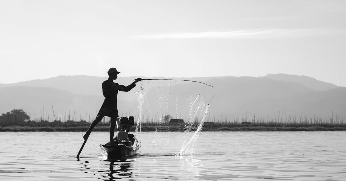 découvrez l'univers passionnant de la pêche avec nos conseils, techniques et astuces pour capturer les meilleurs poissons. que vous soyez débutant ou expert, trouvez tout ce qu'il vous faut pour vivre des moments inoubliables au bord de l'eau.