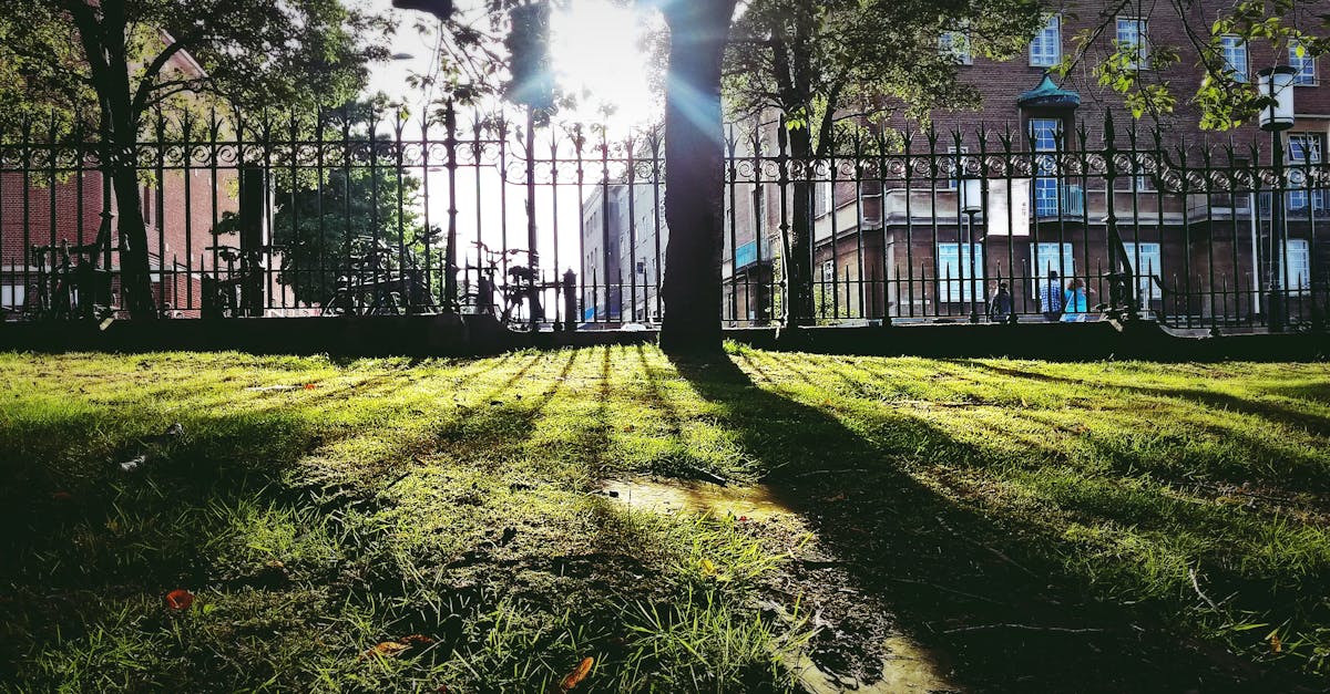 Rezerwacje będą możliwe po otwarciu za pośrednictwem dedykowanej platformy lub bezpośrednio w biurze turystycznym Écotay-l'Olme. Będą również dostępne oferty specjalne zachęcające do dłuższych pobytów.