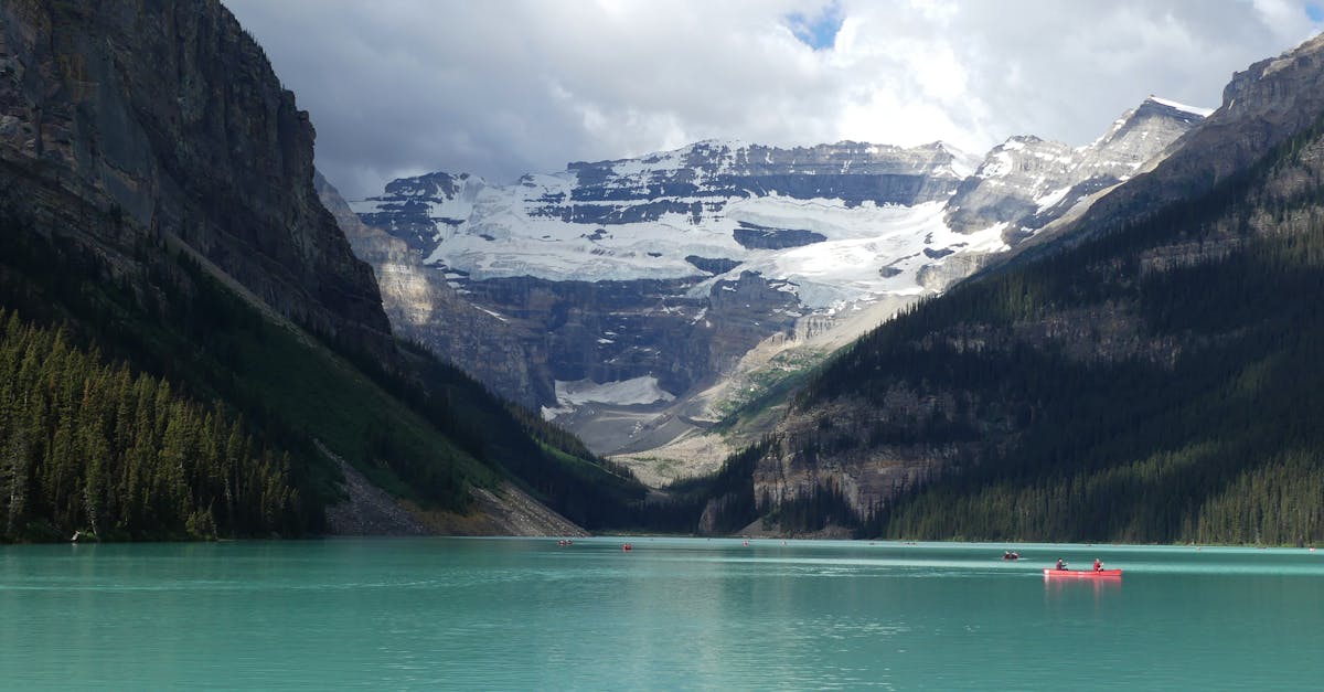 Protezione e valorizzazione degli spazi naturali 🌿