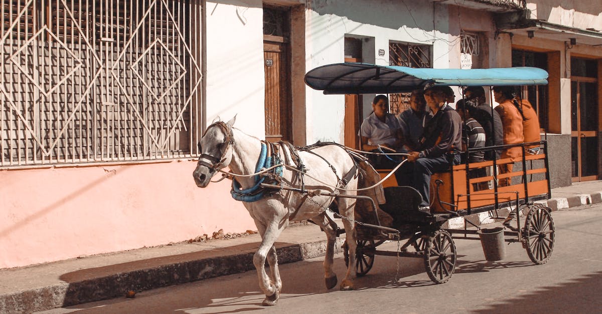 Lodges comprometidos com o desenvolvimento sustentável oferecem inúmeros benefícios, tanto para o planeta quanto para o bolso do viajante. Em Ardèche, escolher essas acomodações significa apoiar uma economia local dinâmica, frequentemente centrada em cadeias de suprimentos curtas e produtos locais. Consumir produtos orgânicos, carne ou vegetais de fazendas próximas ajuda a reduzir a pegada de carbono associada ao transporte de alimentos. Em termos de energia, lodges equipados com painéis solares ou energia geotérmica consomem menos energia, ajudando a reduzir as contas e a proteger o meio ambiente. A gestão da água e a coleta seletiva de resíduos reforçam essa abordagem responsável. Uma tabela para ilustrar o potencial de economia: