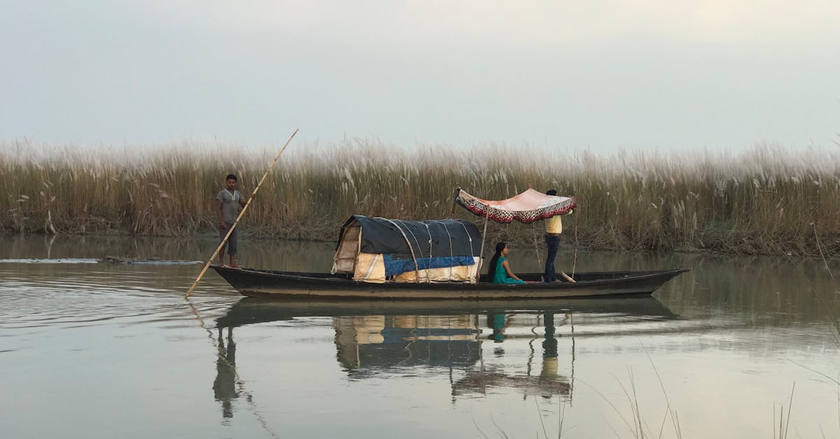 Produção de eletricidade renovável