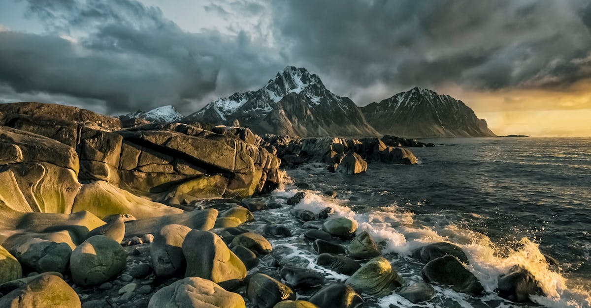 Renowacja dziedzictwa