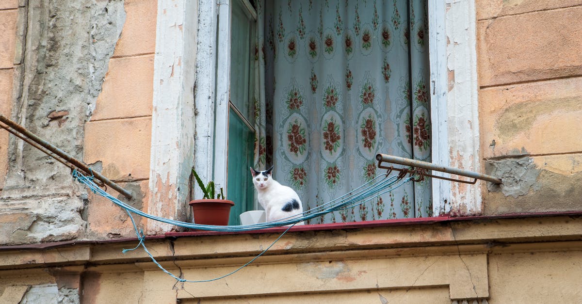 Kluczowe cechy domku: komfort, integracja i środowisko