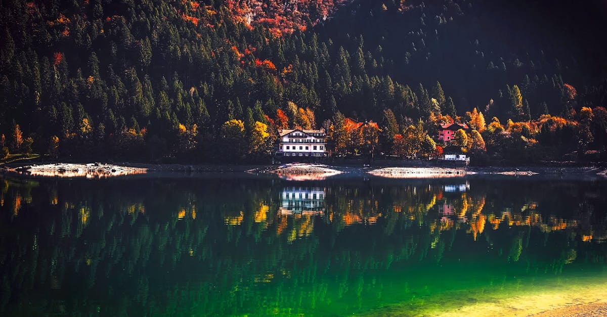 découvrez notre charmant cottage, un refuge paisible au cœur de la nature. idéal pour des escapades relaxantes, il allie confort moderne et charme rustique, offrant un cadre parfait pour se ressourcer en famille ou entre amis.