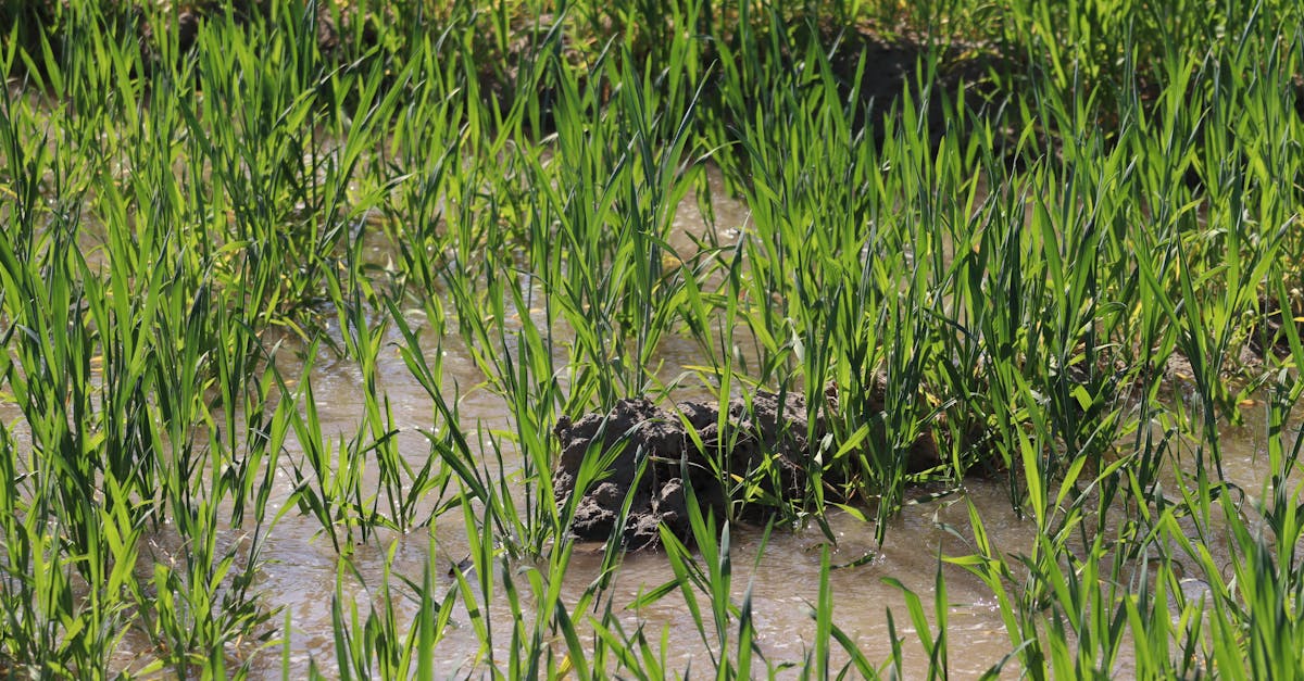 Obowiązkowe zajęcia, aby poznać życie na farmie z La Ferme de Marie
