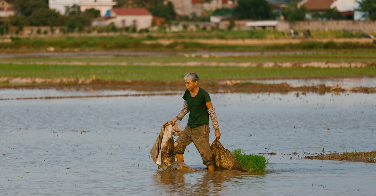 Jakie produkty mogę przywieźć jako pamiątkę z farmy?