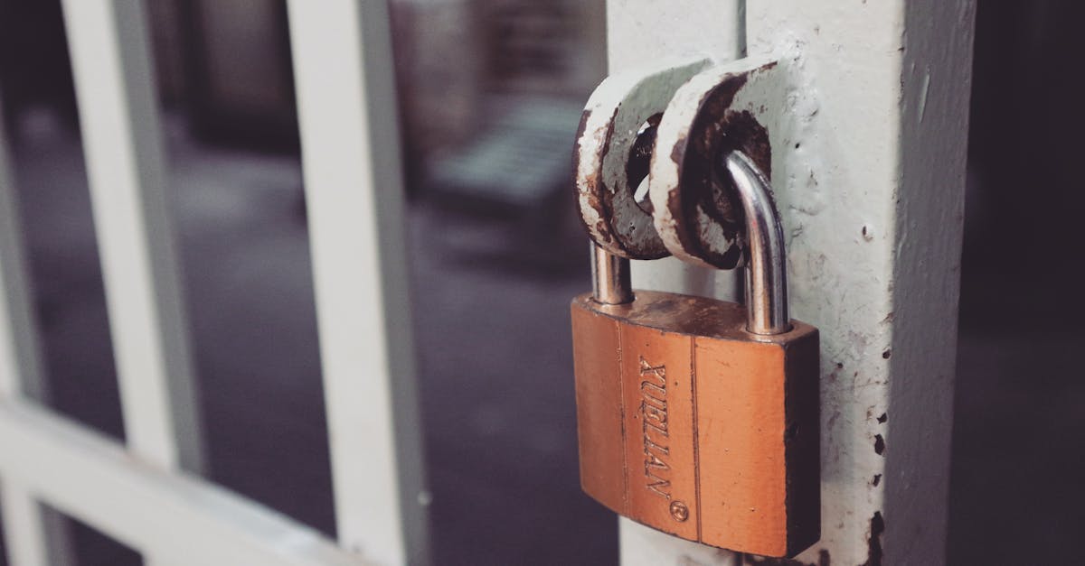 Wyjątkowe wrażenia w Hon-Hergies: zajęcia i rozrywka dla młodych i starszych