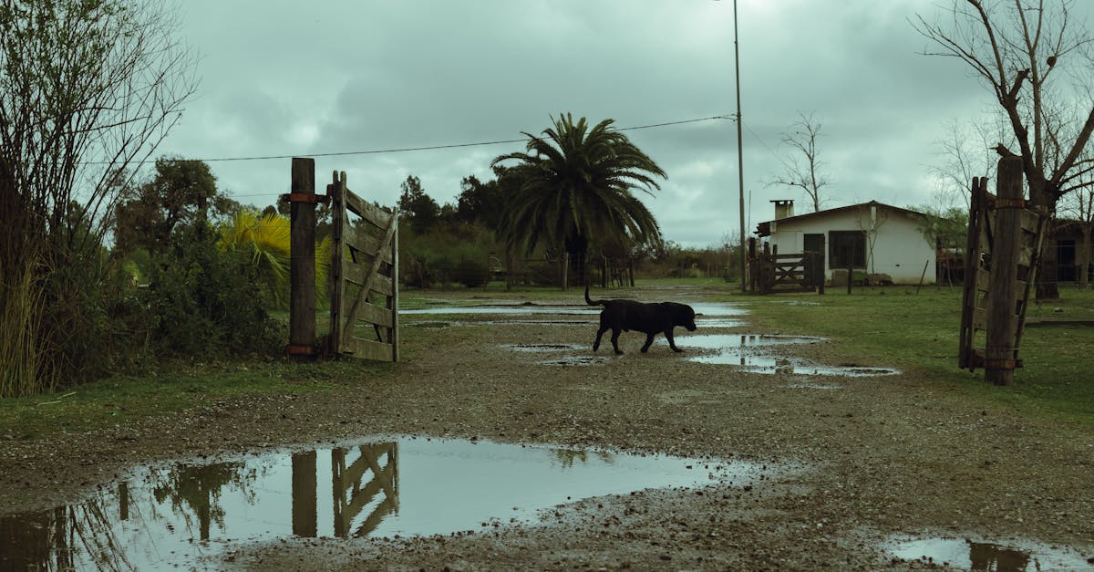 Ochrona oryginalnej architektury za pomocą tradycyjnych materiałów