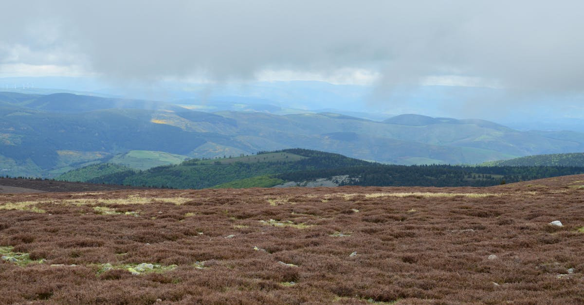 Utrzymanie terenów naturalnych, ochrona okolicznej flory i fauny