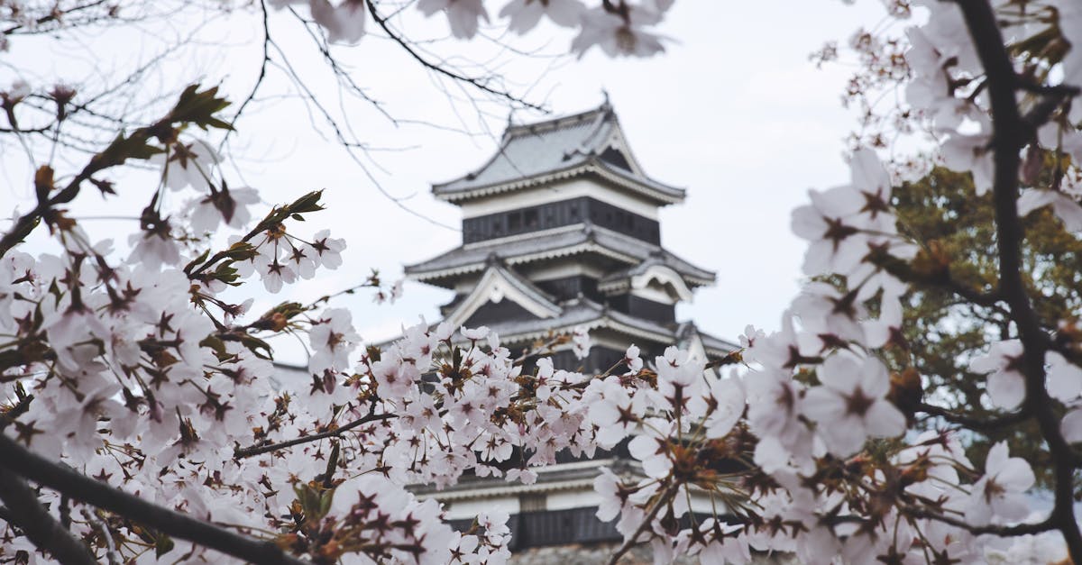 Rezerwacji można dokonać za pośrednictwem specjalistycznych stron internetowych lub bezpośrednio, kontaktując się z rodziną właścicieli. W szczycie sezonu zaleca się rezerwację z kilkumiesięcznym wyprzedzeniem.