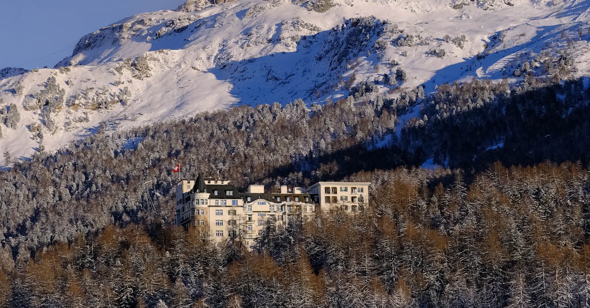 découvrez un havre de paix au cœur de la nature avec notre luxury lodge, offrant des prestations haut de gamme, un service personnalisé et une expérience de séjour inoubliable dans un cadre serein.
