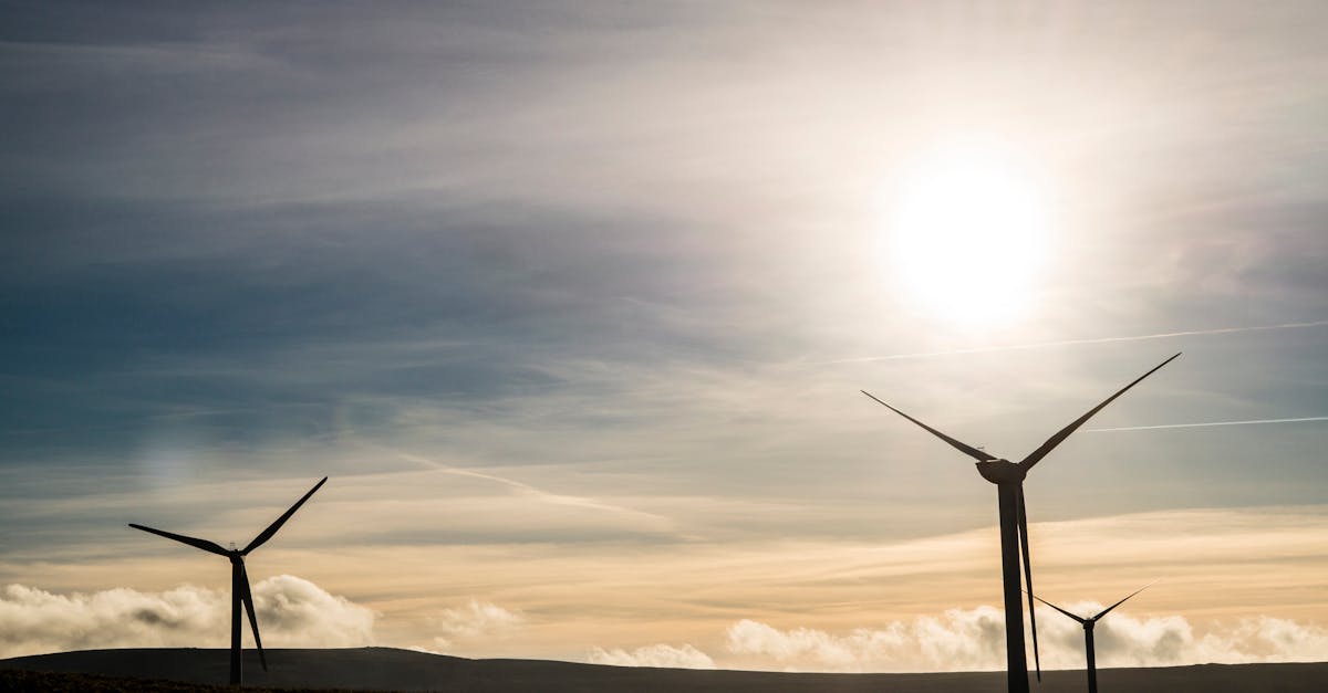 découvrez l'importance de la durabilité dans notre monde moderne. explorez des pratiques éco-responsables, des solutions innovantes et des conseils pour un mode de vie durable qui préserve notre planète pour les générations futures.