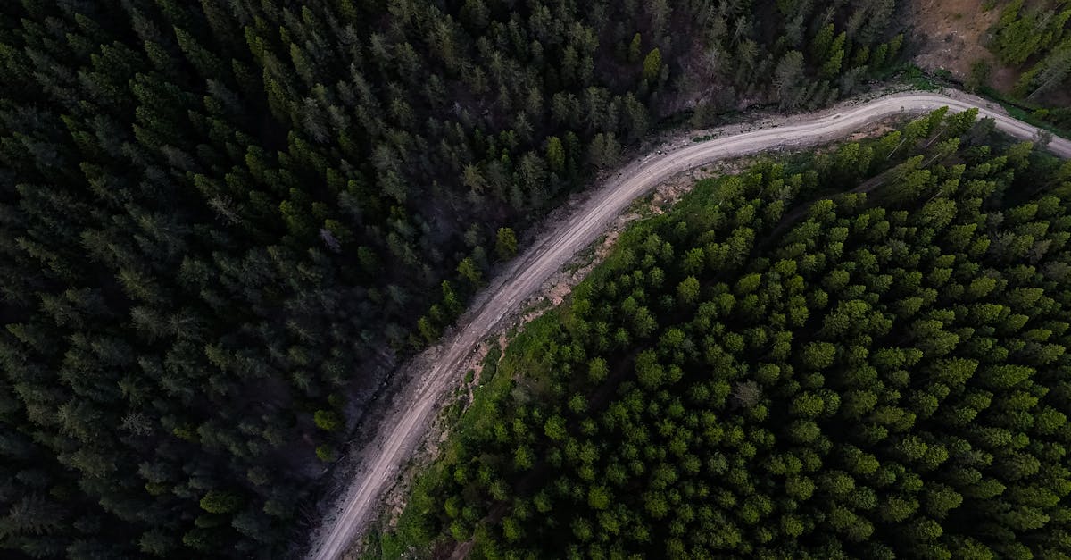 découvrez des pratiques durables qui préservent notre planète. adoptez un mode de vie éco-responsable grâce à des conseils sur la consommation, l'énergie renouvelable et la réduction des déchets.