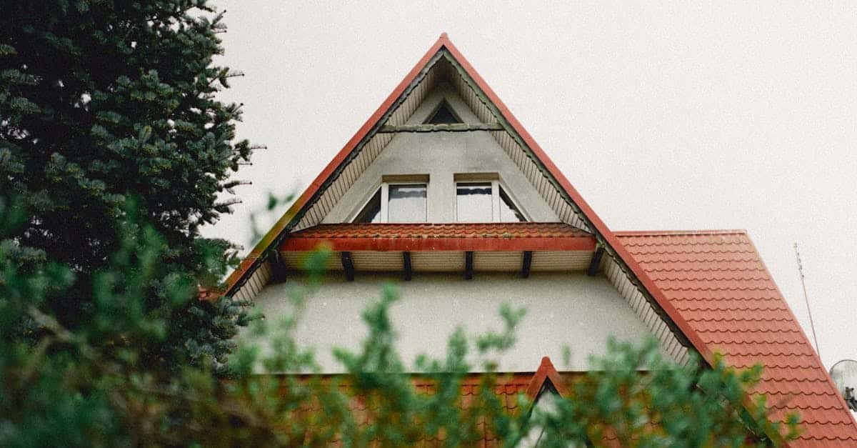 Ten pensjonat w kształcie samolotu jest częścią procesu rewitalizacji przestrzeni turystycznej na Zachodnim Brzegu, obszarze, w którym od ponad 20 lat brakuje lotniska. Turyści, zwłaszcza ci poszukujący ekoturystyki, postrzegają ten projekt jako alternatywę dla tradycyjnego niedostatku podróży. Projekt budynku, zaprojektowany przez samego Minwera Harasha, opiera się na szczegółowych planach i imponującym kunszcie technicznym. Pensjonat przywołuje raczej sen na jawie lub symbol ucieczki niż proste zakwaterowanie, stając się atrakcją samą w sobie. Cechy domku