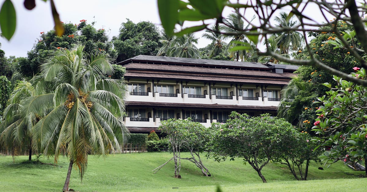 🦅 Caminhadas para observação de pássaros e passeios na natureza, descobrindo a vida selvagem local.