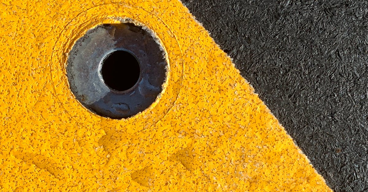 Zachwyt w Vion to nie tylko cieszenie się swoim domkiem; obejmuje również korzystanie z szerokiej gamy aktywności, blisko natury i lokalnej kultury. Obszar ten otacza odwiedzających otoczeniem, w którym wszystko zachęca do kontemplacji i łagodnej aktywności. Oto kilka powodów, dla których nie można go przegapić: