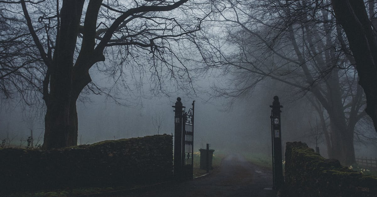 découvrez notre gîte, un havre de paix au cœur de la nature. profitez d'un séjour relaxant avec tout le confort moderne, des paysages à couper le souffle et des activités pour tous. réservez dès maintenant votre escapade idéale en toute tranquillité.
