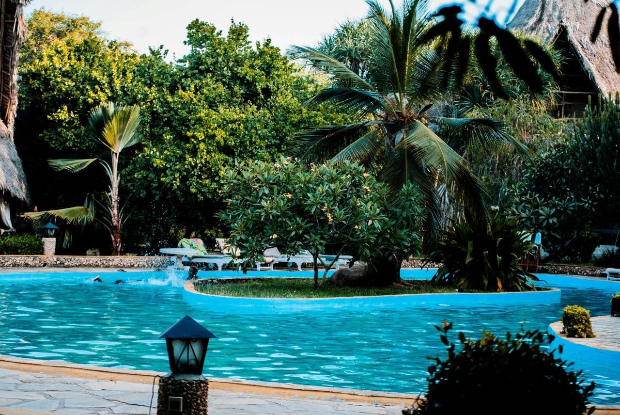 swimming pool resort landscape trees