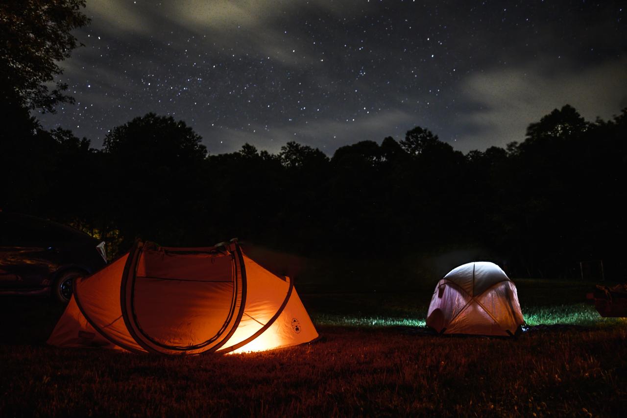 tent camping forest starry night