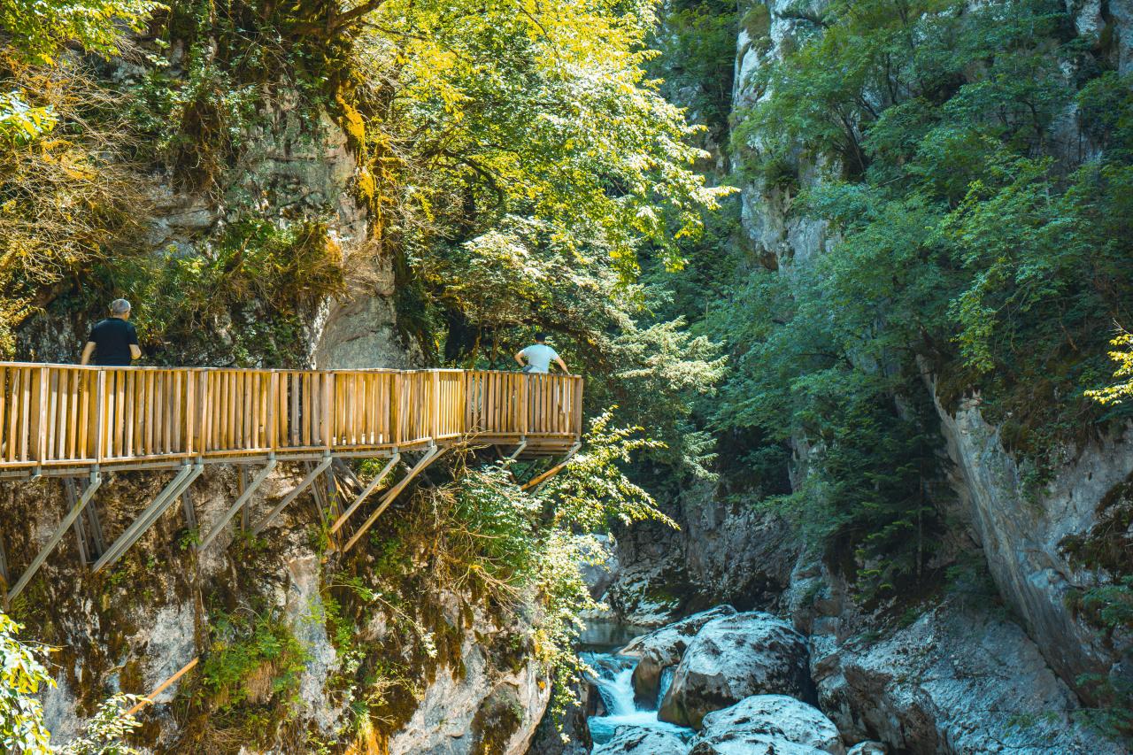 hiking trail gorge river summer scenic