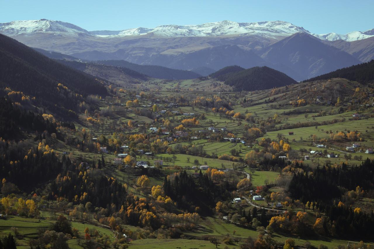 mountain forest plateau autumn colors hiking