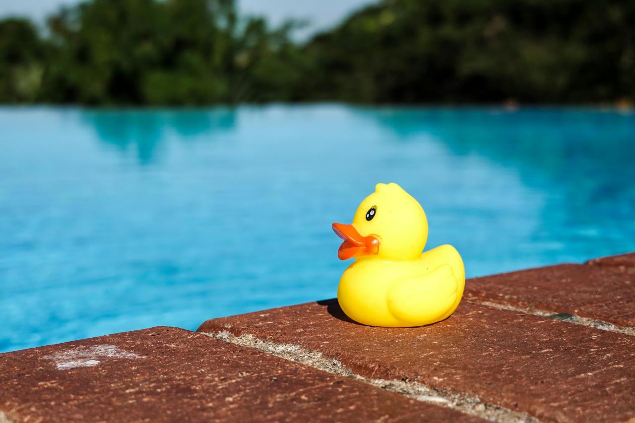 swimming pool edge sunny day blue water family children